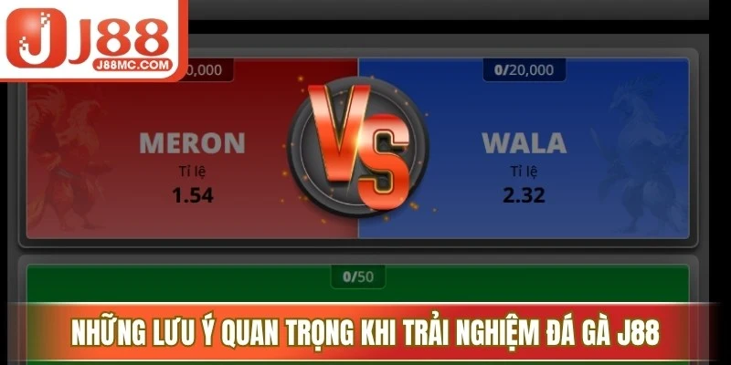 Những lưu ý quan trọng khi trải nghiệm đá gà J88