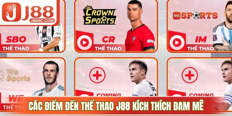 Các điểm đến thể thao J88 kích thích đam mê